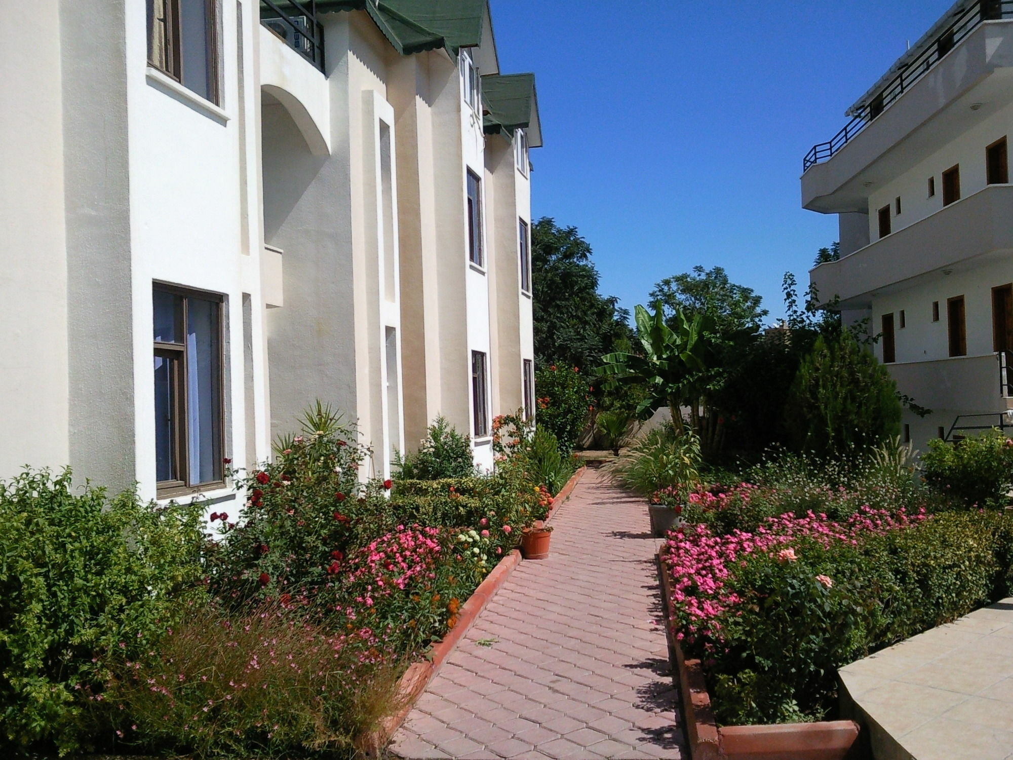 Ares Hotel เกเมร์ ภายนอก รูปภาพ